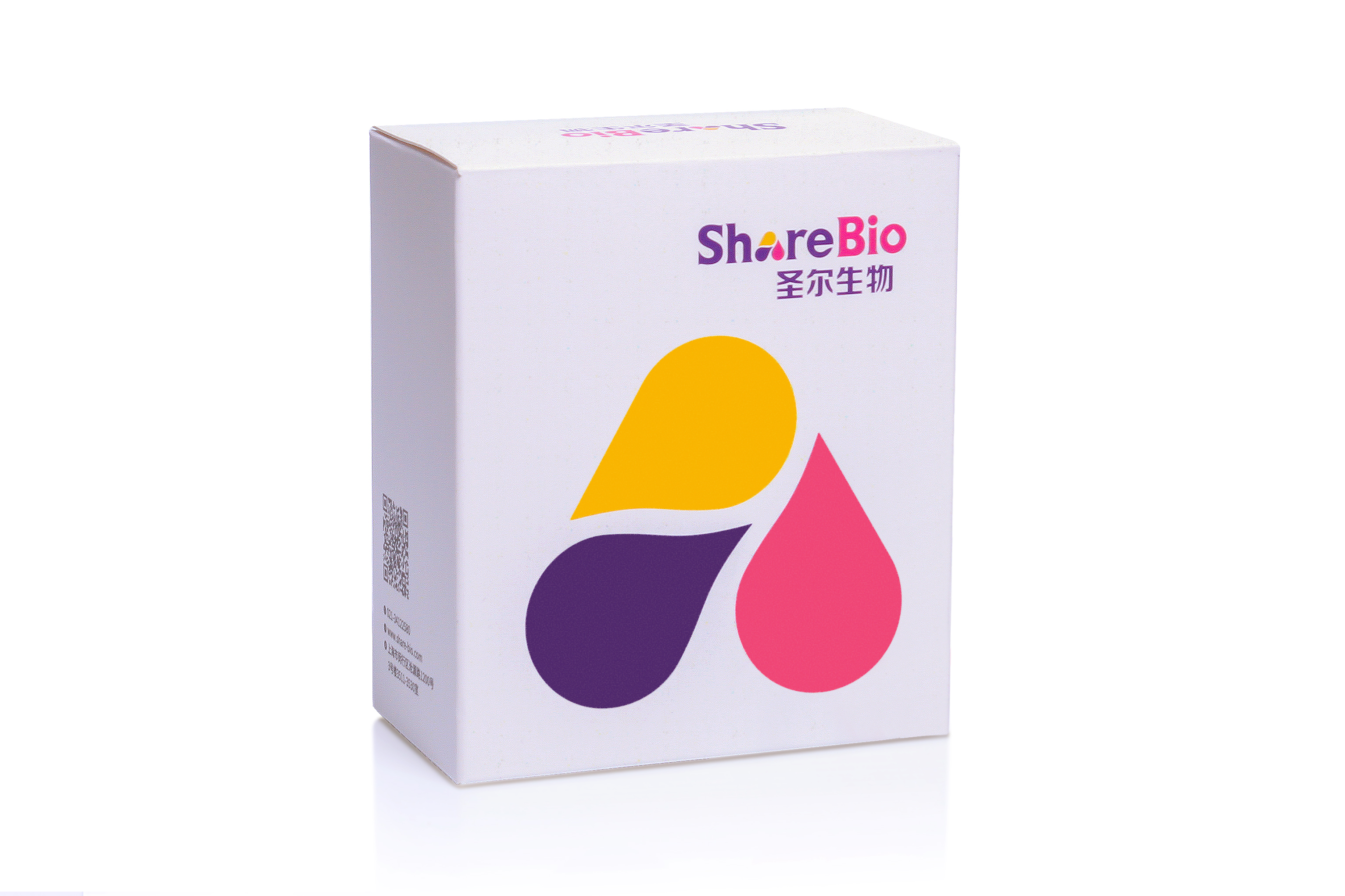 非变性蛋白电泳产品套装(含预制胶浓度有6.8.10.12.15以及412.415.420梯度可选,孔数有10.15可选,上样缓冲液、蛋白marker、Tris-hepes电泳缓冲液）