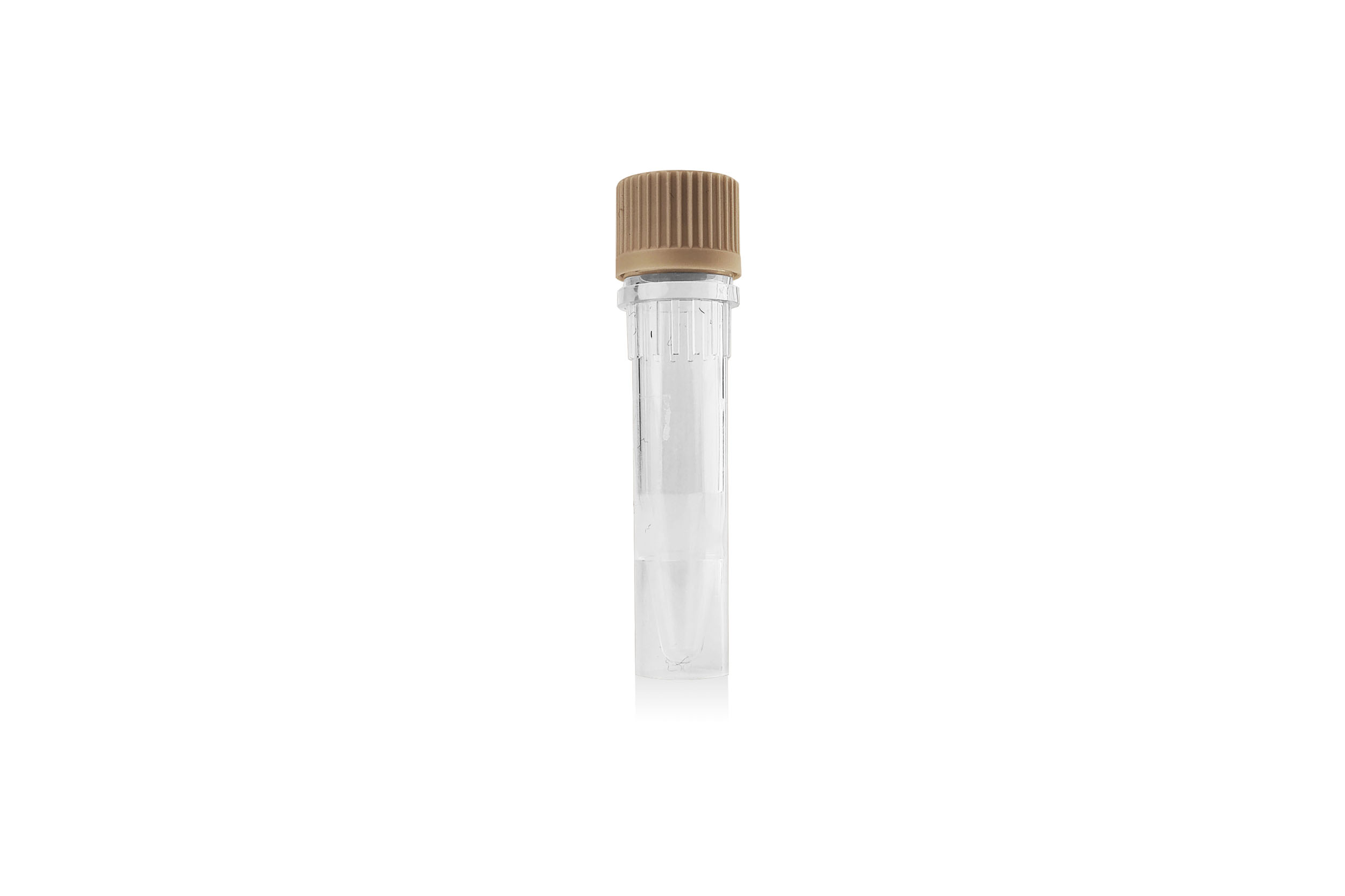 [KD]SHP2 Rabbit mAb