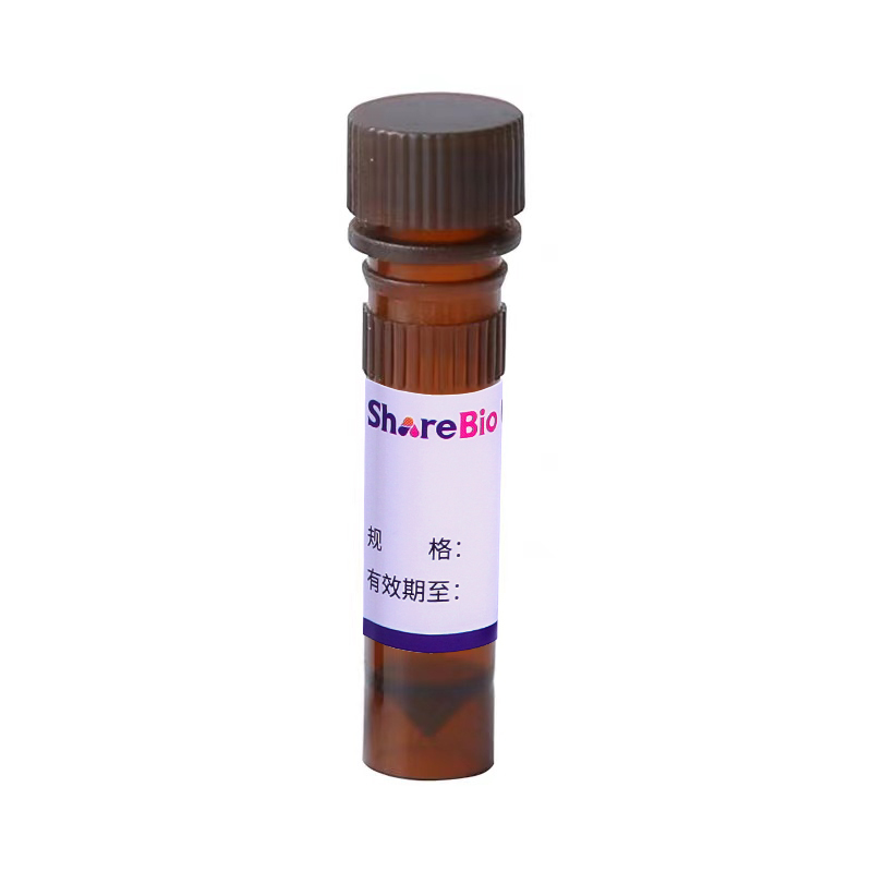 WonderBlue  Broad Range 双链DNA定量试剂盒 WonderBlue  Broad Range  DsDNA Quantification Assay Kits
