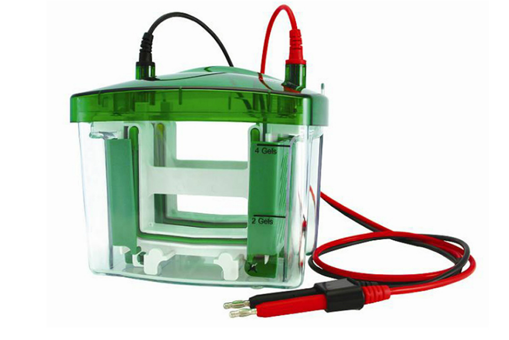 Mini-4小型垂直电泳四块胶电泳系统，不含制胶系统 Tetra Cell