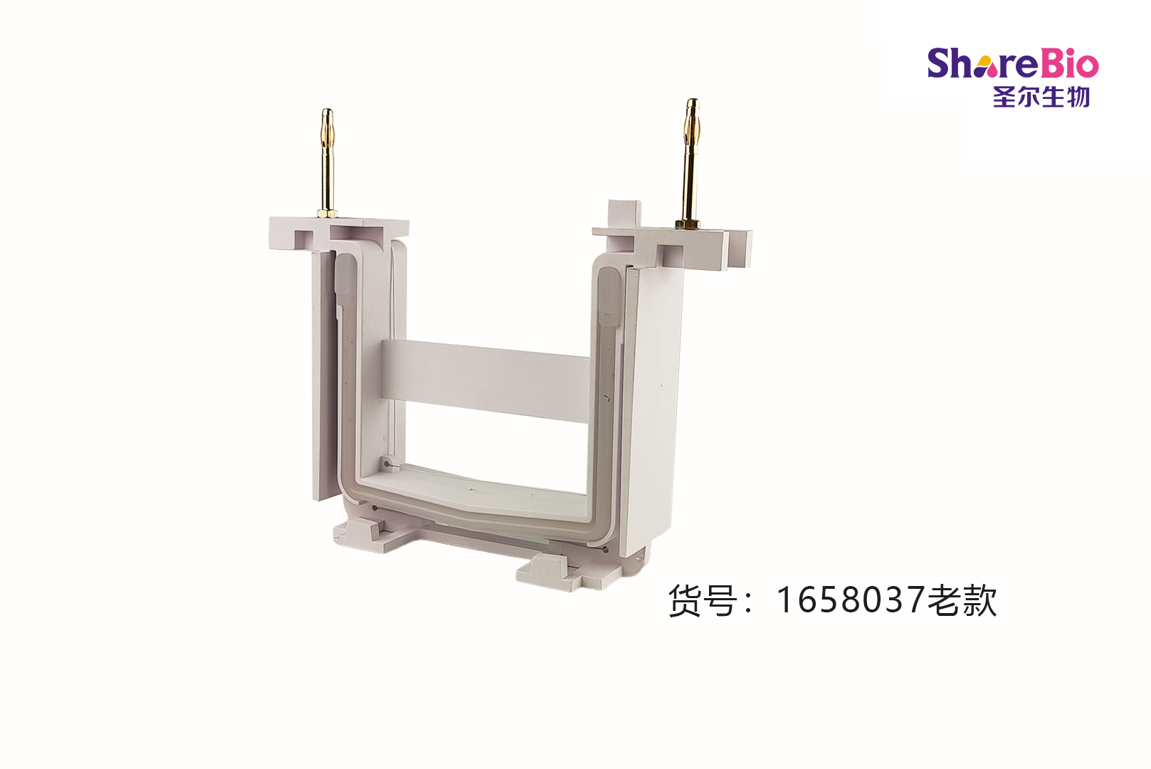 Mini 4电泳芯（主芯） Electrode Assembly