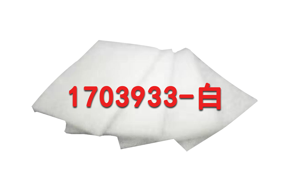 小型转移衬垫，4片/包，白色 适配两块胶系统Sponge Pad for Western Blot