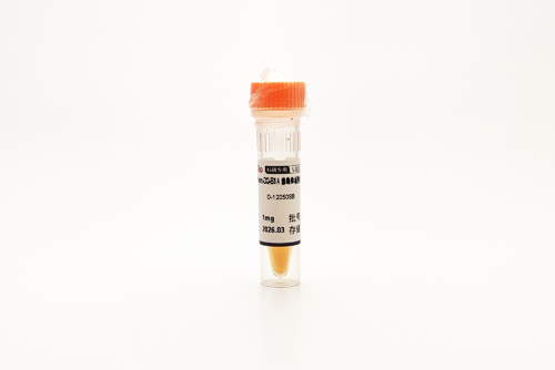 Green-DQ-BSA 溶酶体活性检测 DQ-BSA-GREEN Lysozyme Assay Kit