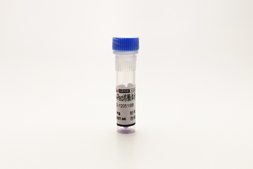 DQ-BSA-Red溶酶体活性检测 DQ-BSA-RED Lysozyme Assay Kit