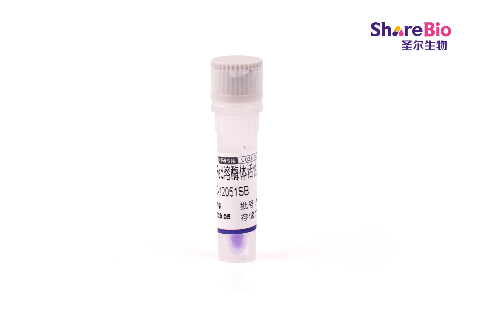 DQ-BSA-Red溶酶体活性检测 DQ-BSA-RED Lysozyme Assay Kit
