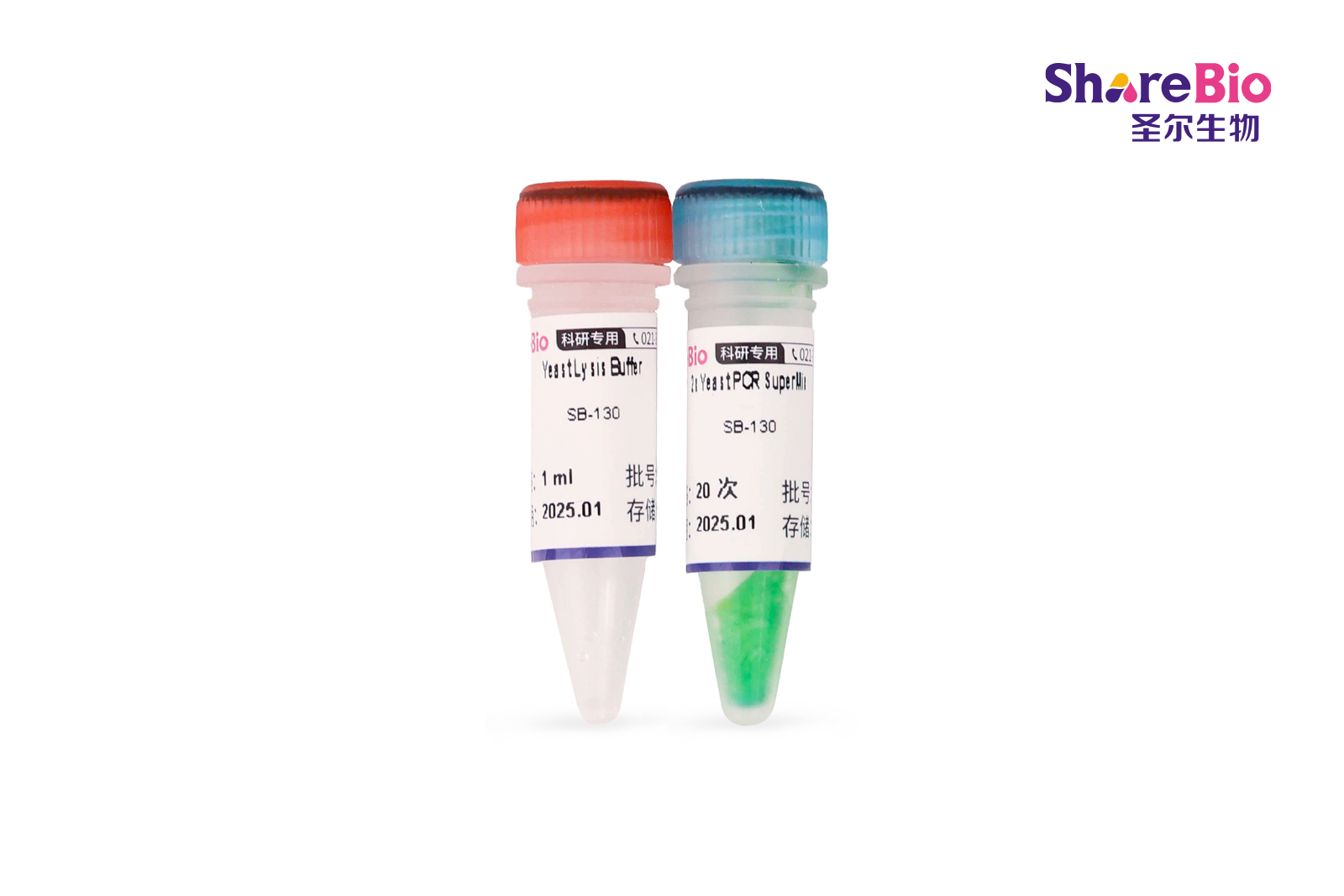 酵母快速 Direct PCR 试剂盒 Direct PCR Kit For Yeast