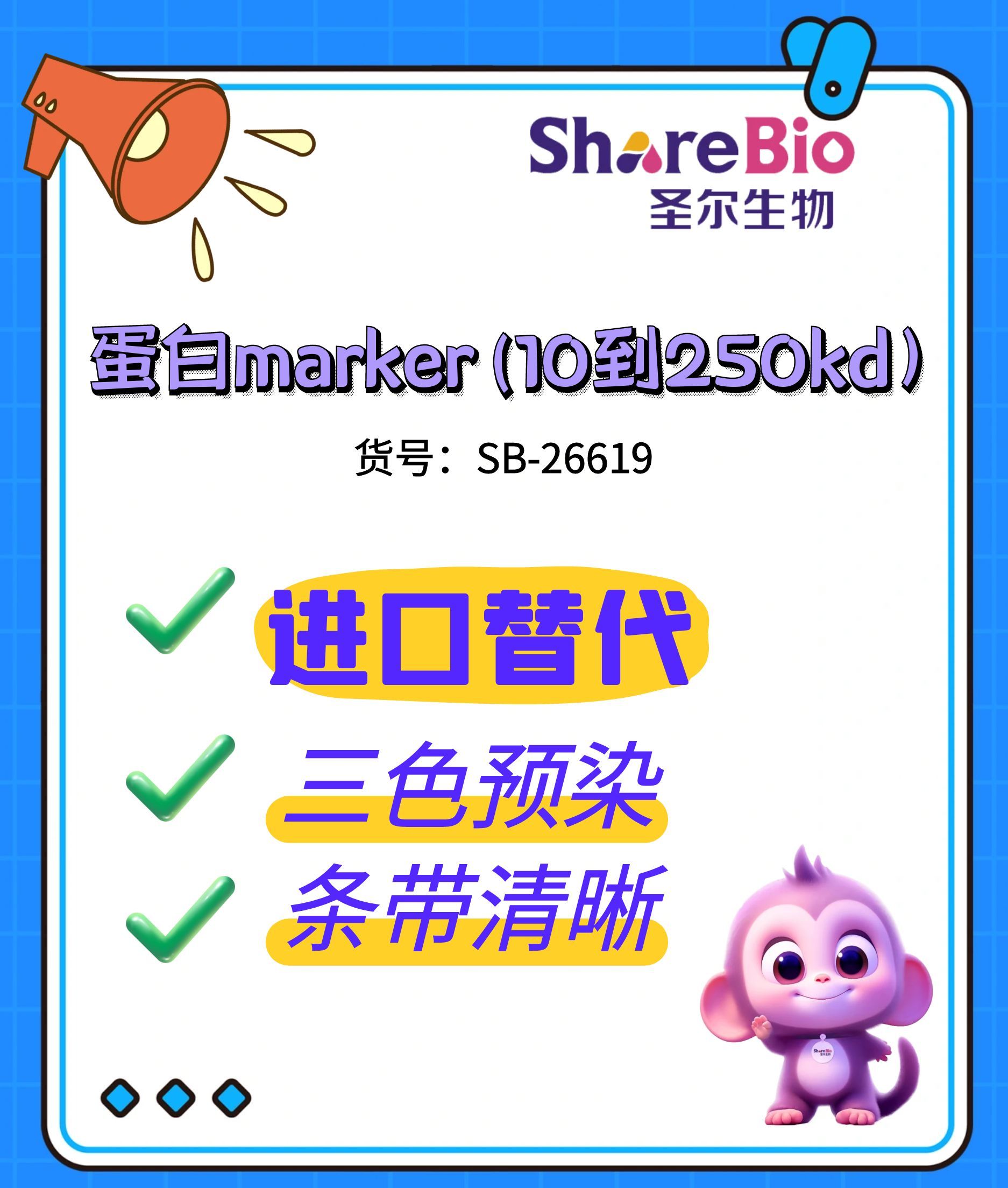 彩色预染蛋白marker(8-250 kDa)