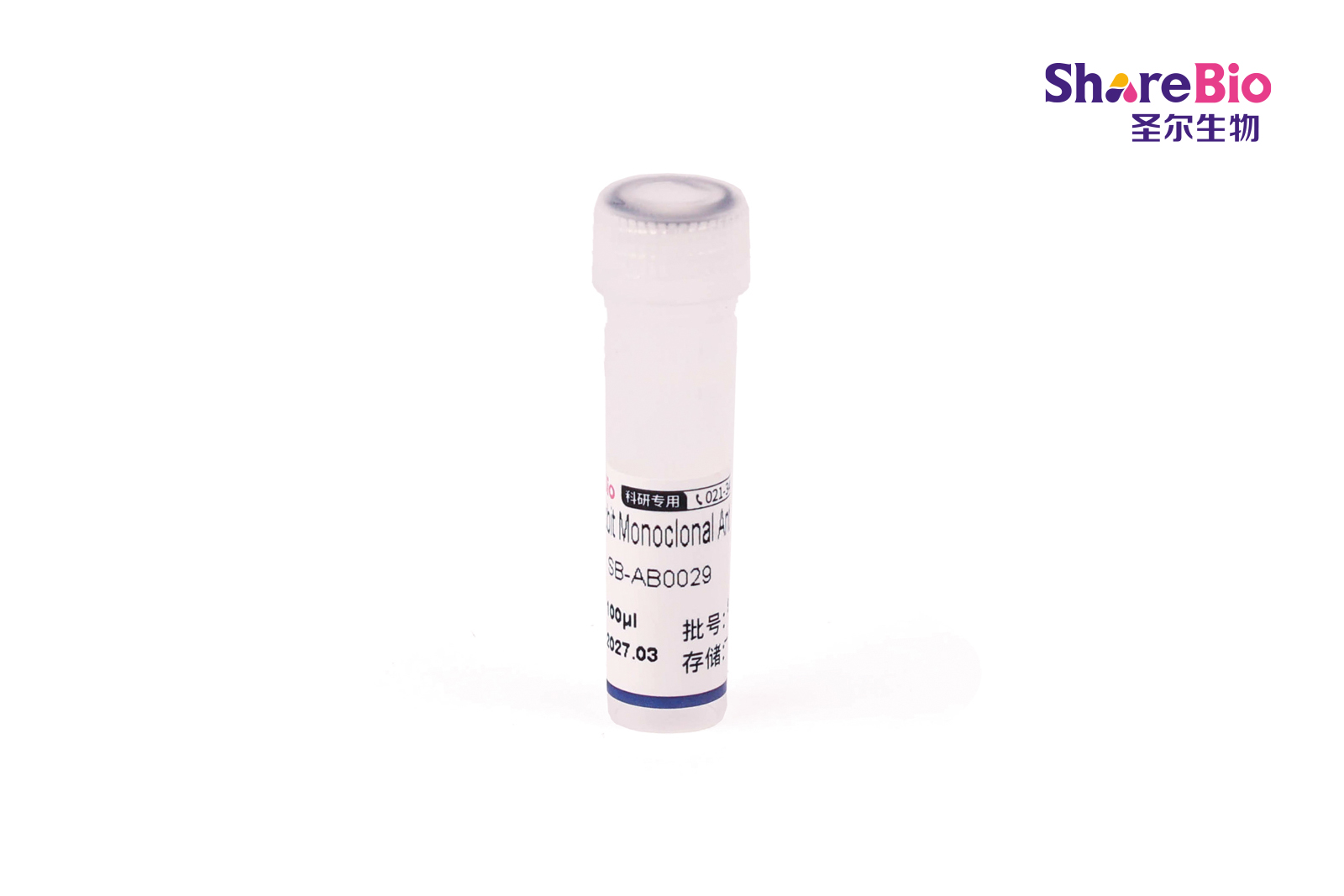 MBP Rabbit   Monoclonal Antibody