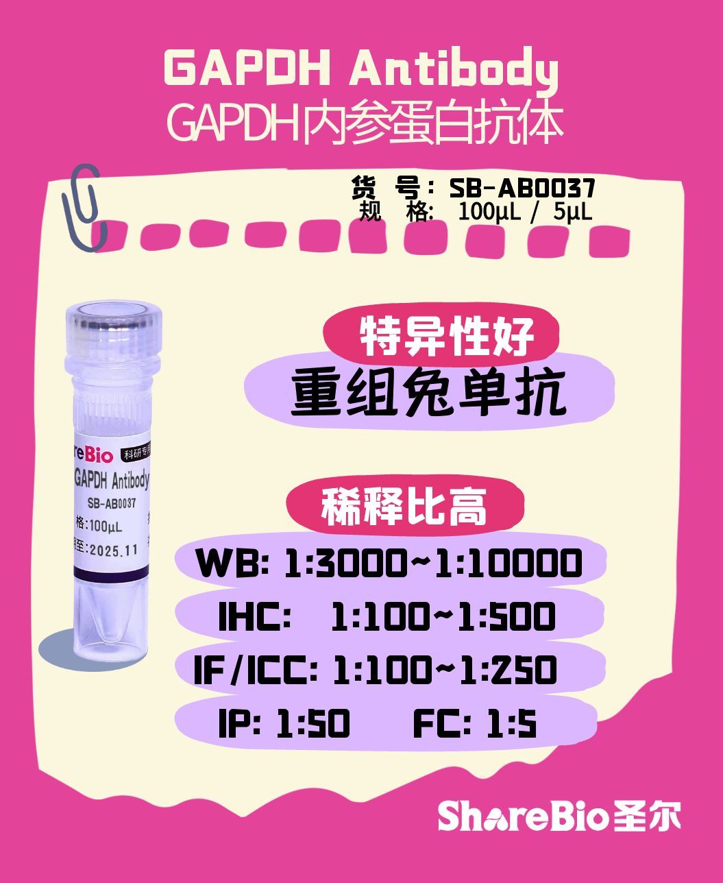 GAPDH Antibody