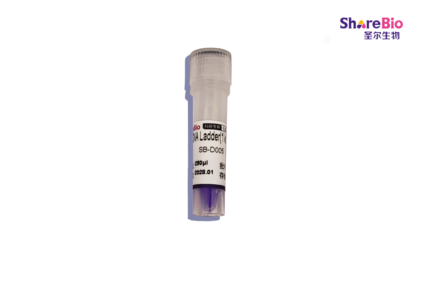 1 kb DNA Ladder(1 kb-10 kb) 1 kb double-stranded DNA  Ladder ;1 kb dsDNA Ladder