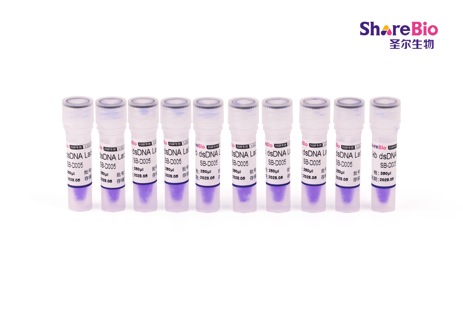 1 kb DNA Ladder(1 kb-10 kb) 1 kb double-stranded DNA  Ladder ;1 kb dsDNA Ladder