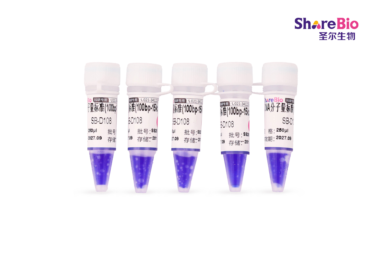 100bp DNA Ladder (100 Bp-15 Kb) 100bp Double-Stranded DNA Ladder