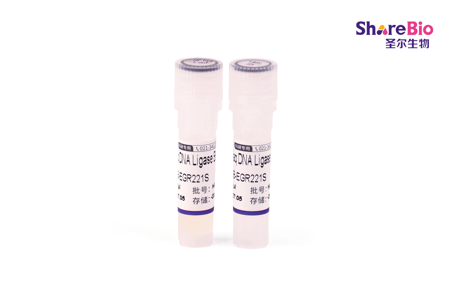 高保真Taq DNA连接酶 HiFi Tag DNA Ligase
