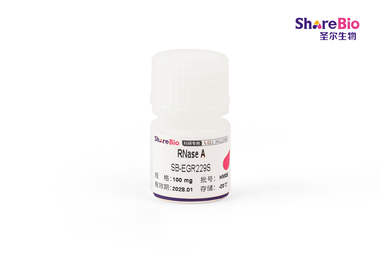 RNase A（切割位点：C 和 U 后）