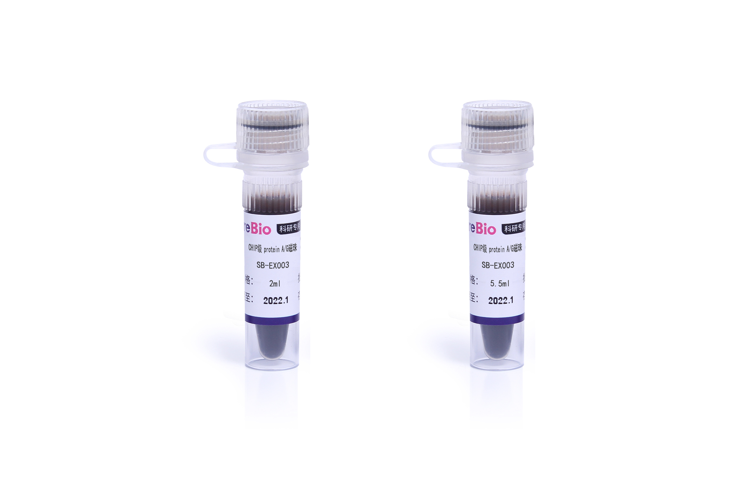 蛋白A/G磁珠（ChIP专用）ChIP Protein A/G Magnetic Beads