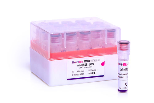 Gelred核酸染料 Gel Red DNA Stain;Gel Red Nucleic Acid Gel Stain