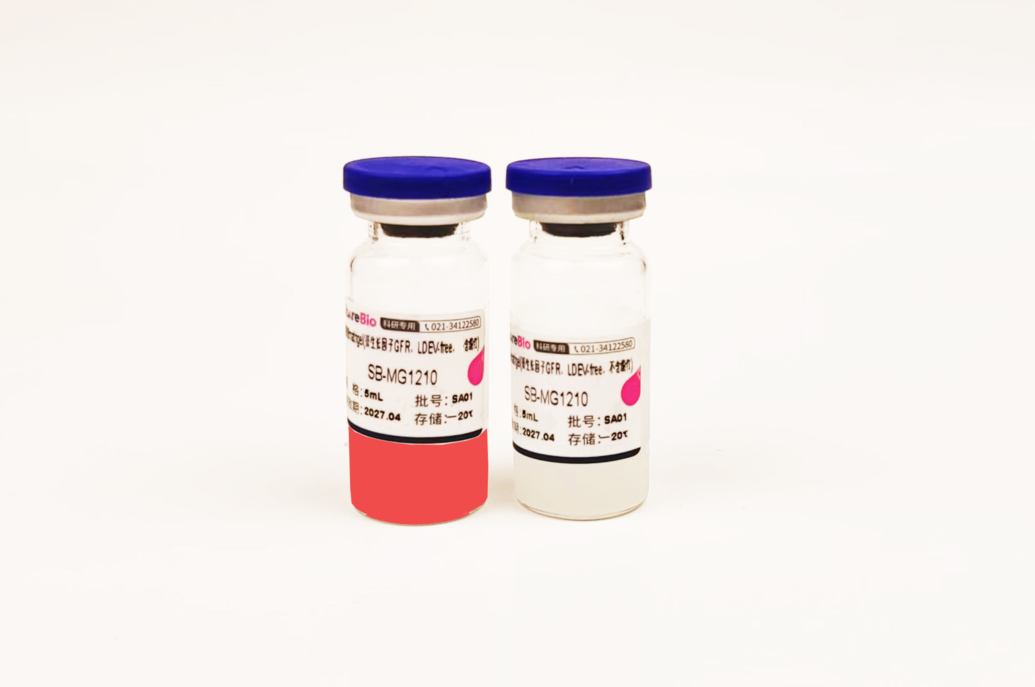 基质胶matrigel(低生长因子GFR，LDEV-free，默认发不含酚红，含酚红需备注)干冰运输