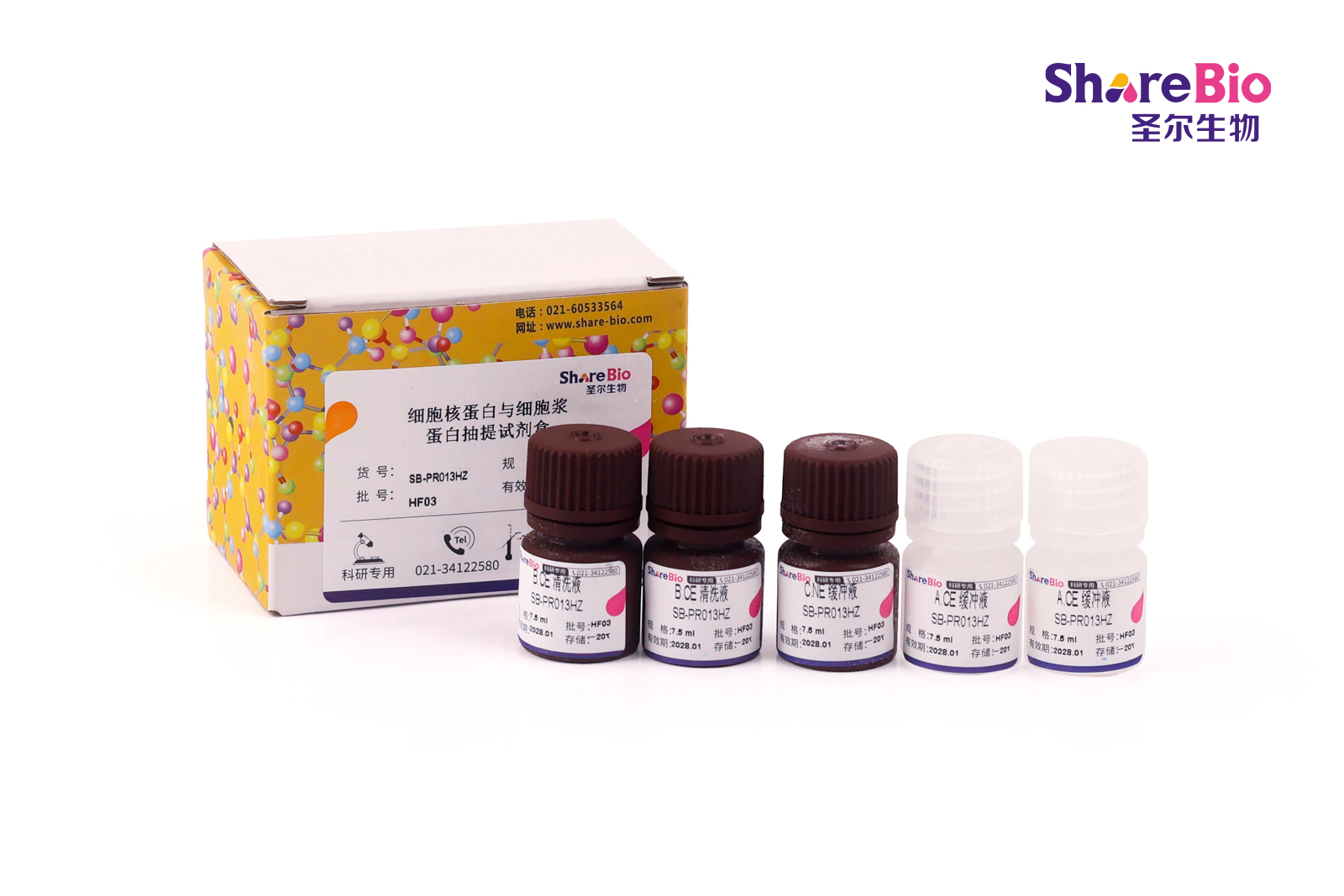 细胞核蛋白与细胞浆蛋白抽提试剂盒Nuclear and Cytoplasmic Protein Extraction Kit