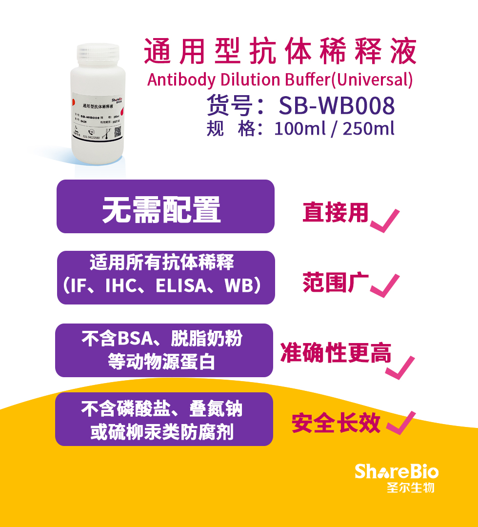 通用型抗体稀释液 Antibody Dilution Buffer(Universal)