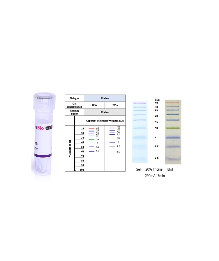低分子量彩色预染蛋白Marker(2.6-40 kDa)