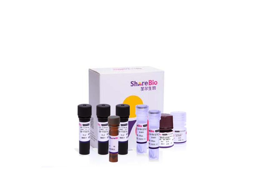 三色酪酰胺信号放大试剂盒(鼠兔通用）Three color tyramide signal amplification kit (pika universal secondary antibody)