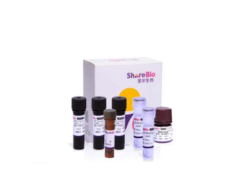 四色酪酰胺信号放大试剂盒(鼠兔通用） Four color tyramide signal amplification kit (pika universal secondary antibody)