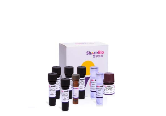 六色酪酰胺信号放大试剂盒(鼠兔通用） Six color tyramide signal amplification kit (pika universal secondary antibody)