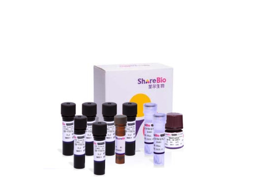 七色酪酰胺信号放大试剂盒(鼠兔通用） Seven color tyramide signal amplification kit (pika universal secondary antibody)