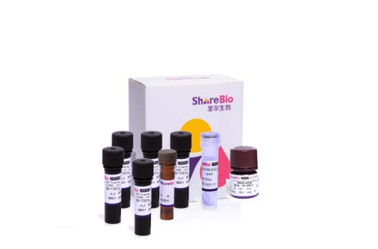 六色酪酰胺信号放大试剂盒(抗兔二抗） Six color tyramide signal amplification kit (Rabbit secondary antibody)