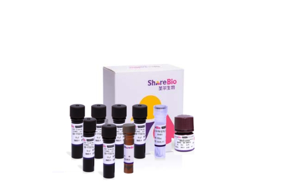 七色酪酰胺信号放大试剂盒(抗兔二抗）7重免疫荧光TSA试剂盒 Seven color tyramide signal amplification kit