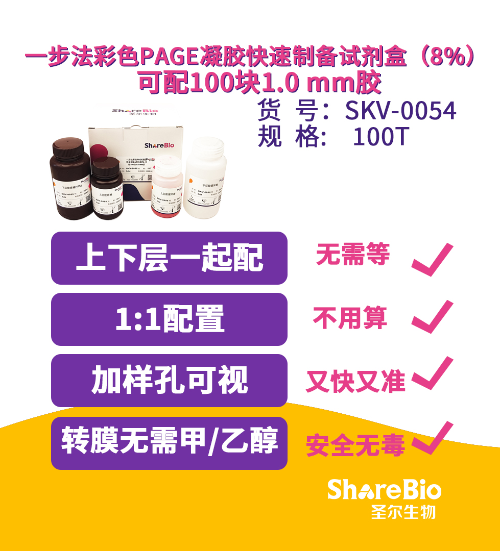 8% 一步法彩色PAGE凝胶快速制备试剂盒 可配100块1.0 mm胶