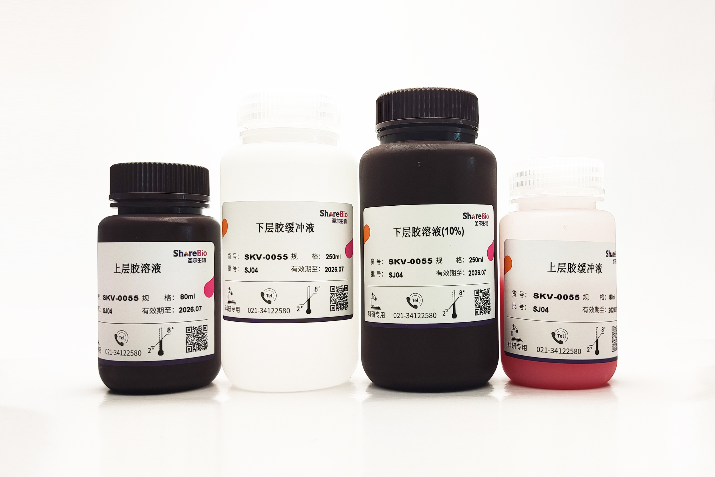 10% 一步法彩色PAGE凝胶快速制备试剂盒 可配100块1.0 mm胶
