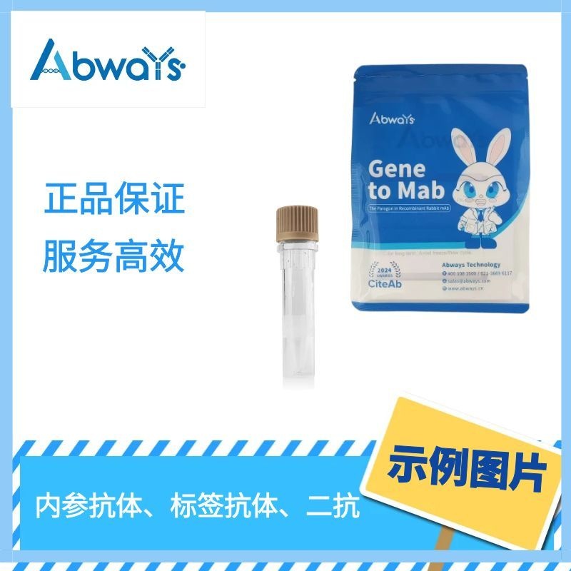 Goat Anti-Mouse IgG (Cy3)