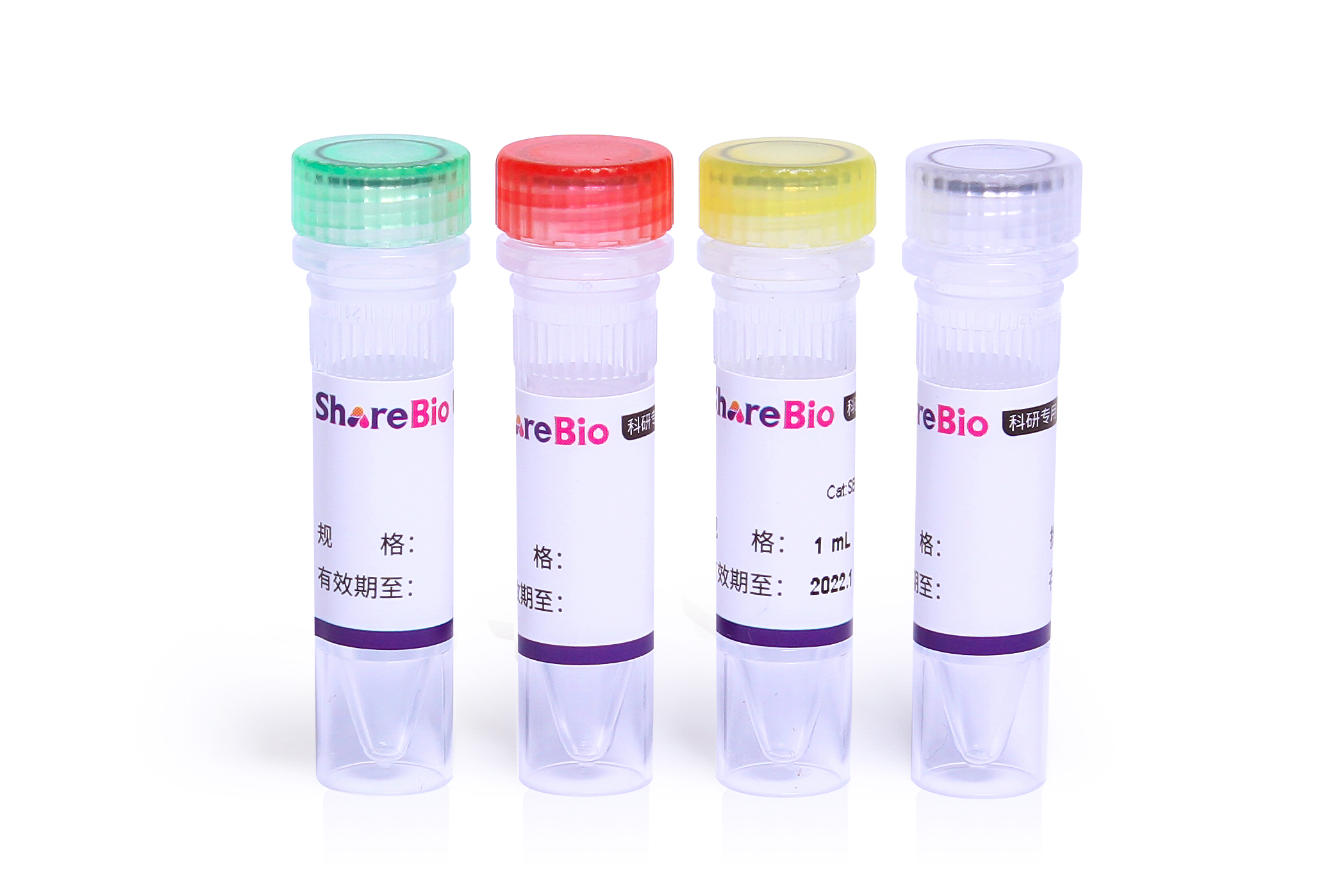 RNA Pulldown试剂盒（生物素-探针法） RNA Pulldown Kit (Biotin-Probe)