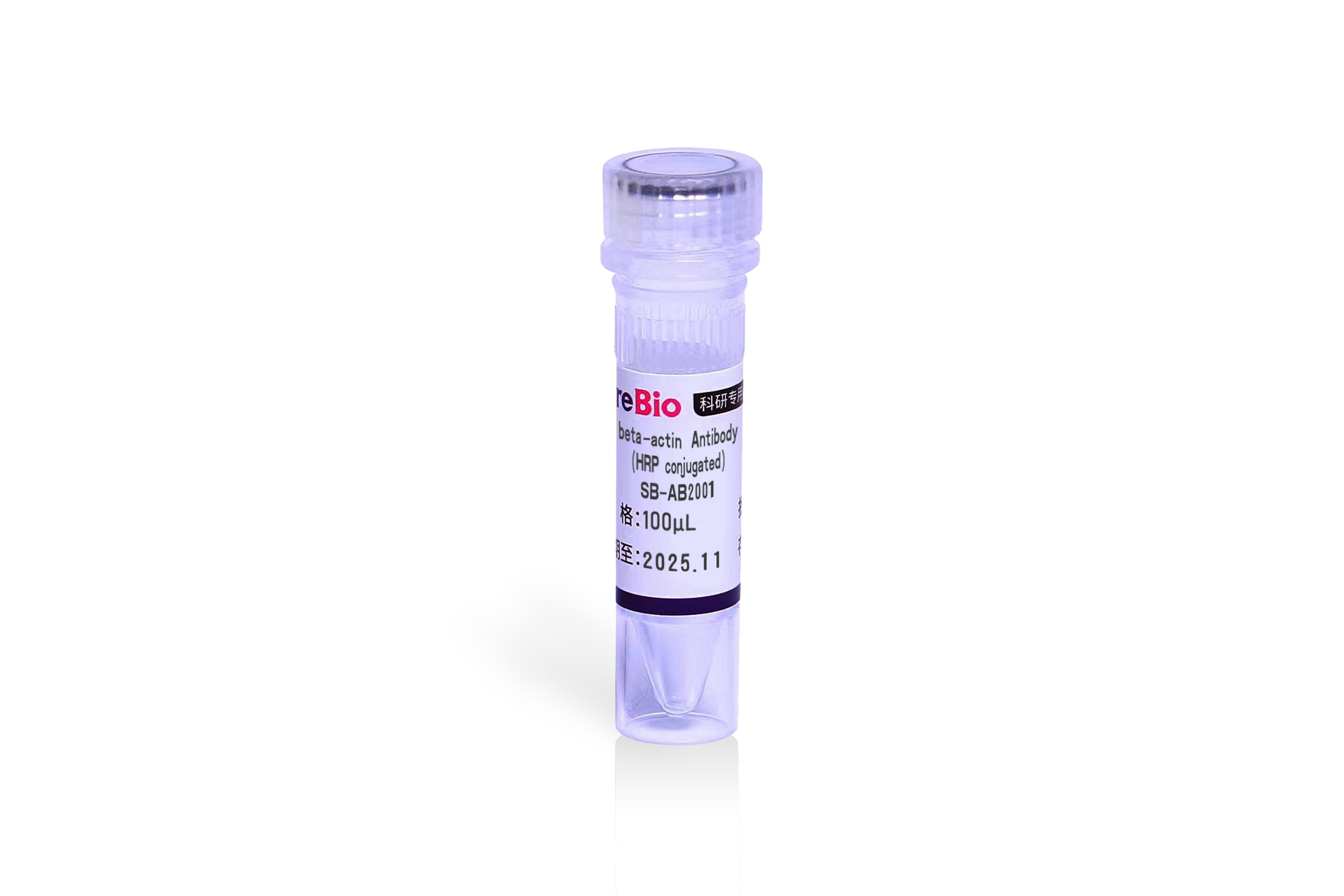 Beta-Actin Antibody（HRP Conjugated）HRP标记Beta-Actin 内参蛋白单克隆抗体