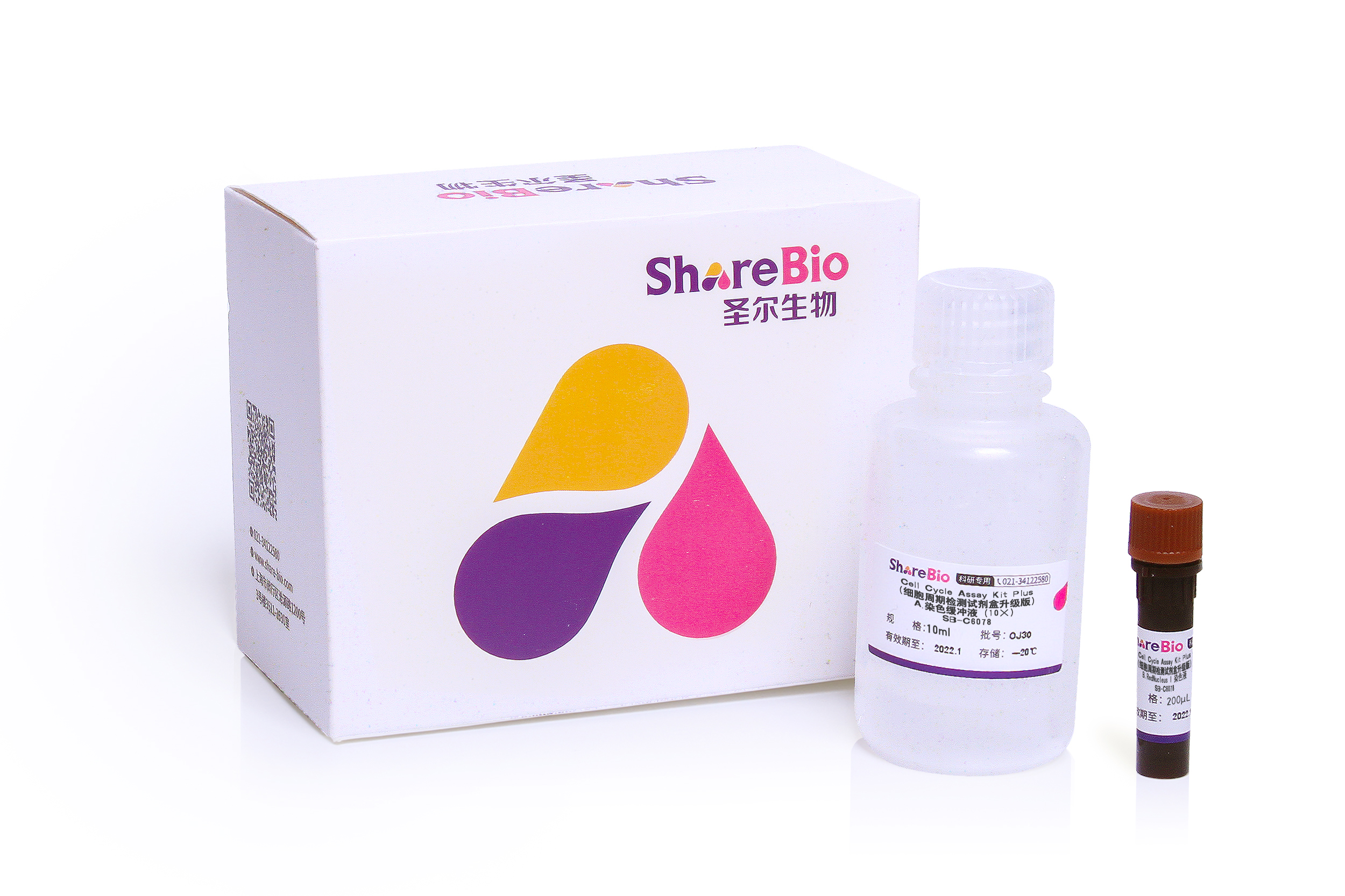 Cell Cycle Assay Kit Plus（细胞周期检测试剂盒升级版） Cell Cycle Assay Kit Plus