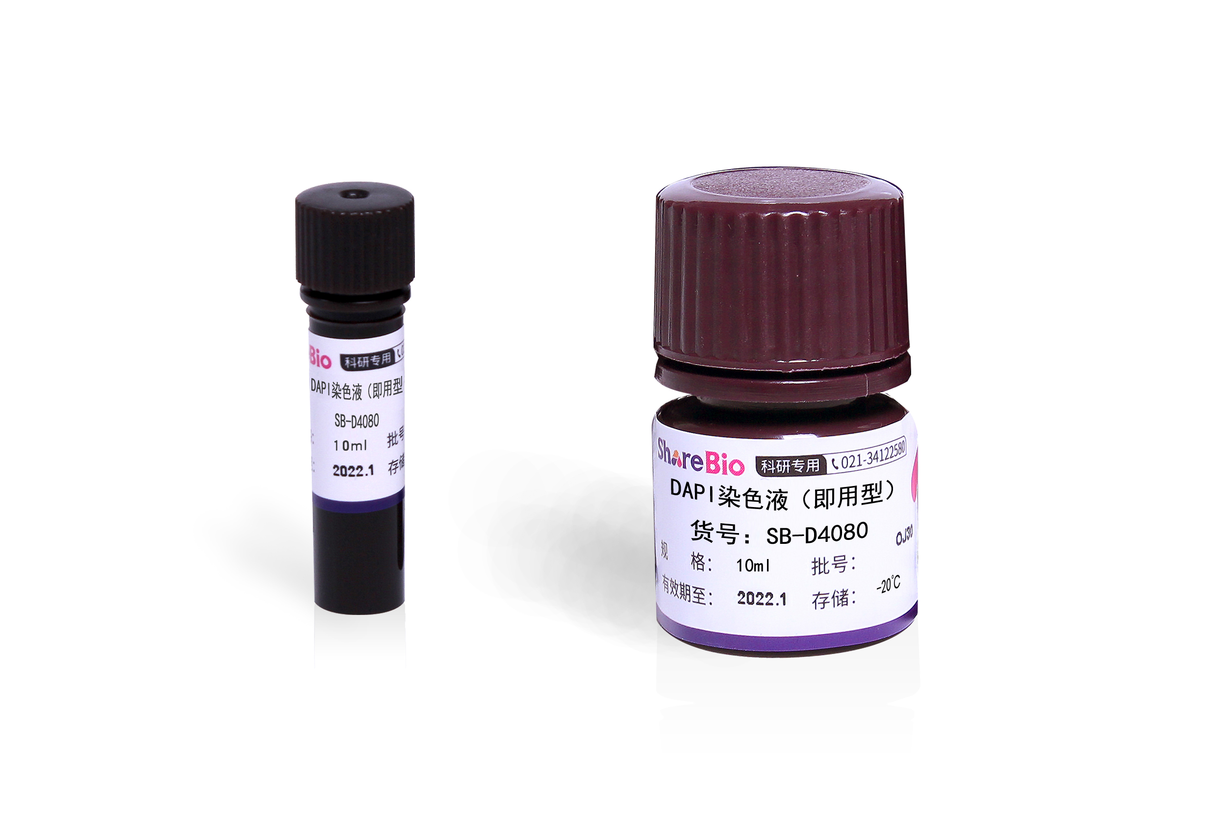 DAPI染色液（即用型） Dihydrochloride DAPI Staining Solution(Ready-To-Use)