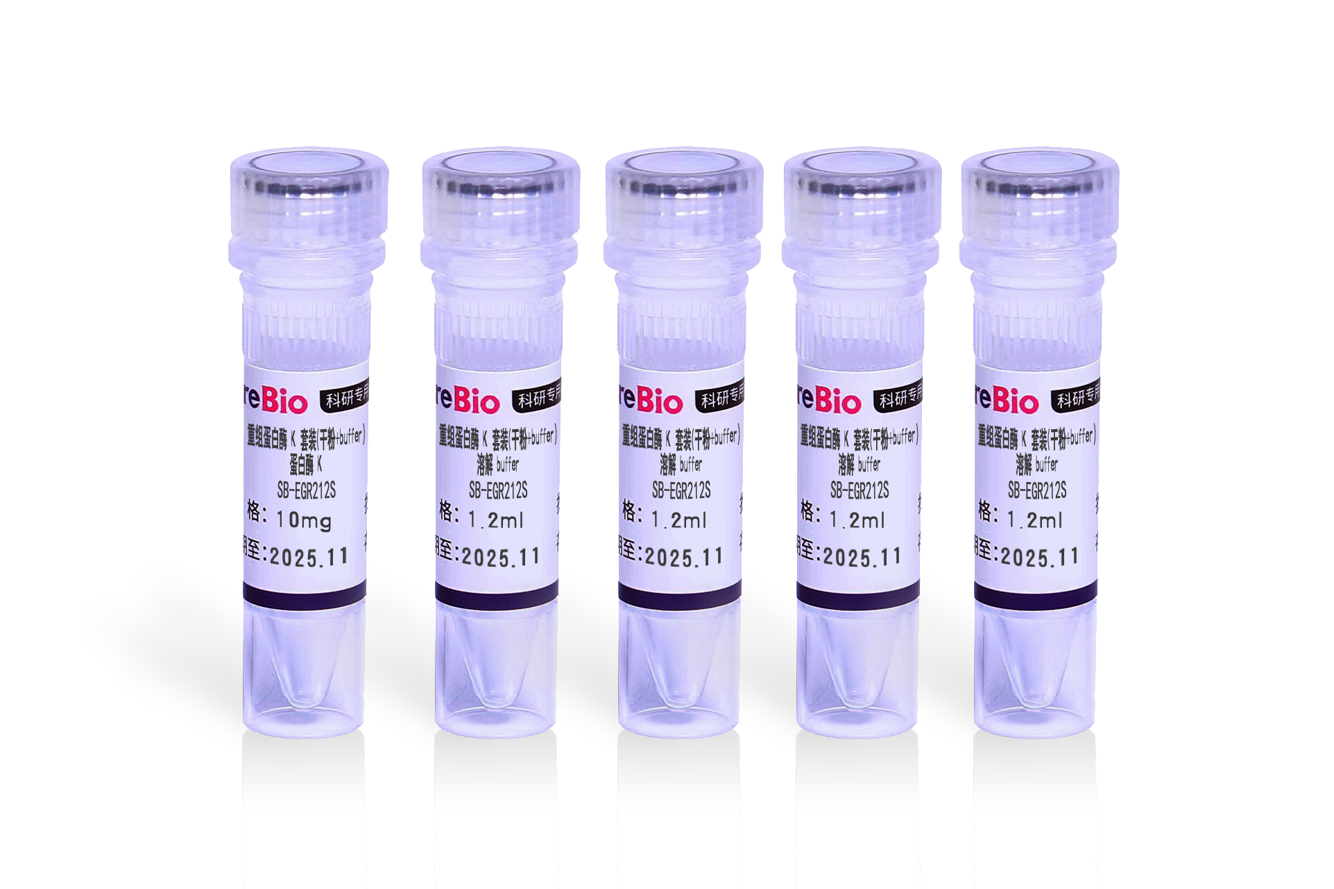 重组蛋白酶K套装(干粉+buffer) Recombinant Proteinase K