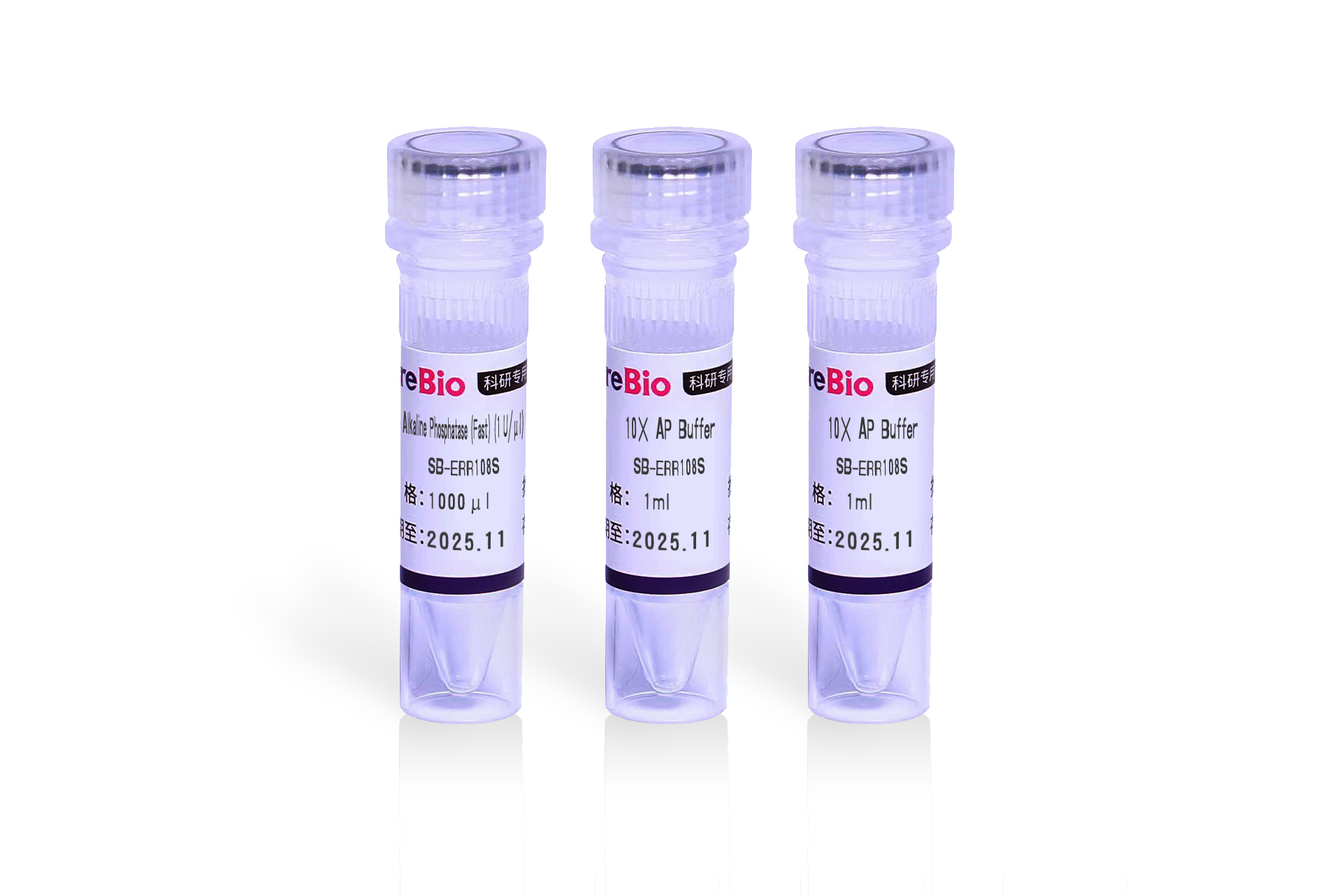 快速碱性磷酸酶 Alkaline Phosphatase (Fast)