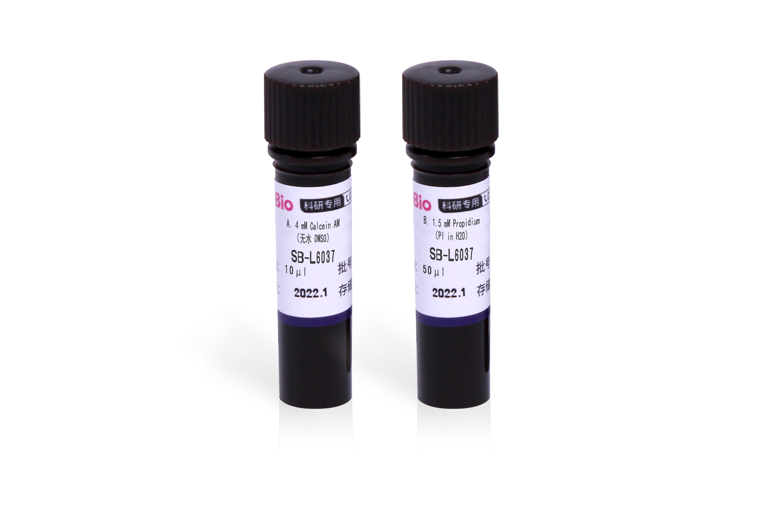 圣尔动物细胞活力/毒性检测试剂盒 (Calcein AM, PI) Cell Viability Assay Kit Cytotoxicity Assay Ki